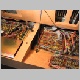 TKC - 008 - all put back with cable routed.jpg